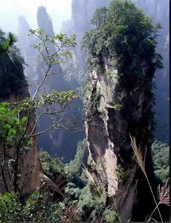 長(zhǎng)沙出發(fā)到張家界溶洞奇觀黃龍洞、國(guó)家森林公園、袁家界、峰林之王天子山三日游（早班）