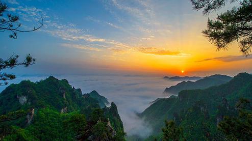 張家界森林公園（金鞭溪、袁家界、楊家界、天子山、十里畫廊）住山上2天1游（可看日出）